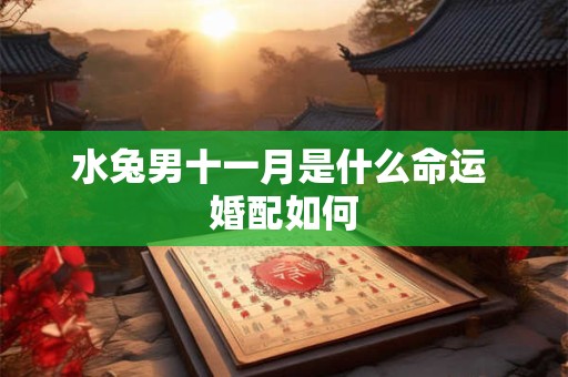 水兔男十一月是什么命运 婚配如何 水兔男十一月是什么命运 婚配如何