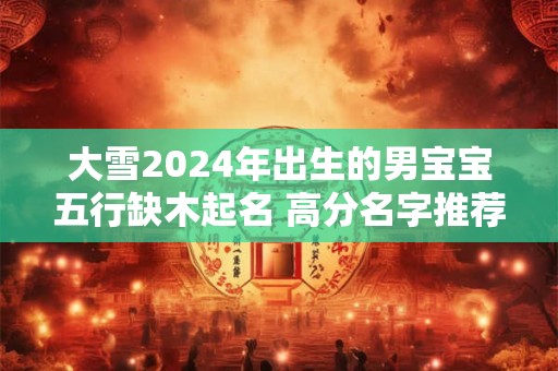 大雪2024年出生的男宝宝五行缺木起名 高分名字推荐！