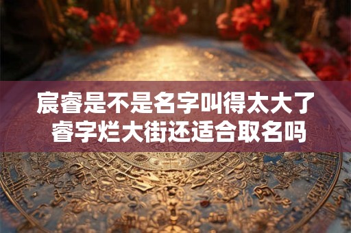 宸睿是不是名字叫得太大了 睿字烂大街还适合取名吗