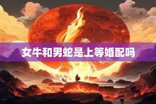 女牛和男蛇是上等婚配吗