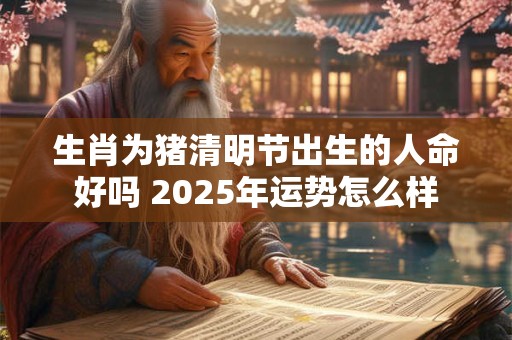 生肖为猪清明节出生的人命好吗 2025年运势怎么样