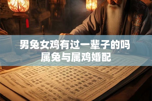 男兔女鸡有过一辈子的吗 属兔与属鸡婚配