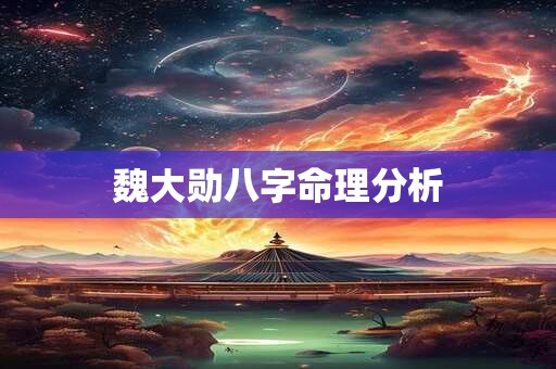 魏大勋八字命理分析