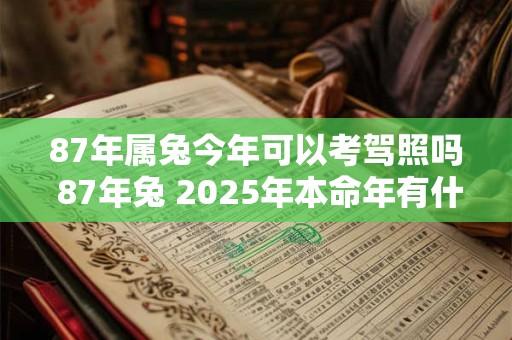 87年属兔今年可以考驾照吗 87年兔 2025年本命年有什么禁忌