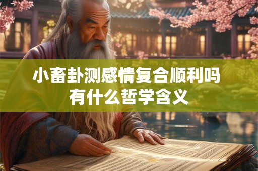 小畜卦测感情复合顺利吗 有什么哲学含义
