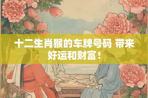 十二生肖猴的车牌号码 带来好运和财富！