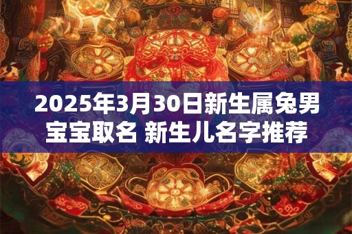 2025年3月30日新生属兔男宝宝取名 新生儿名字推荐
