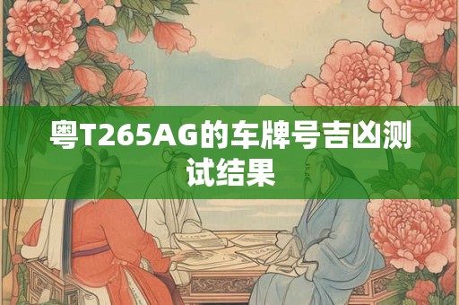 粤T265AG的车牌号吉凶测试结果