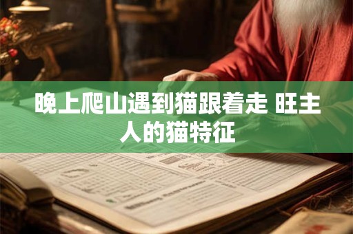 晚上爬山遇到猫跟着走 旺主人的猫特征