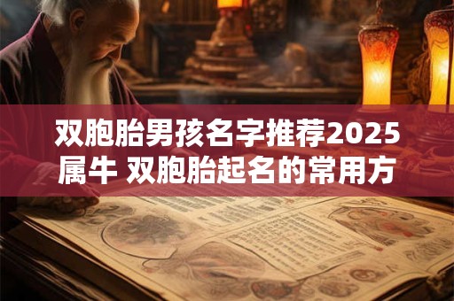 双胞胎男孩名字推荐2025属牛 双胞胎起名的常用方法
