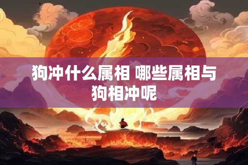 狗冲什么属相 哪些属相与狗相冲呢