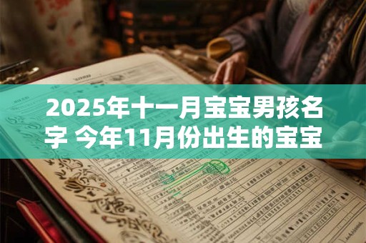 2025年十一月宝宝男孩名字 今年11月份出生的宝宝名字大全