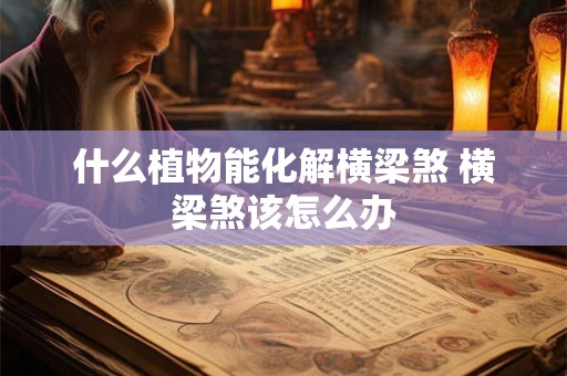 什么植物能化解横梁煞 横梁煞该怎么办