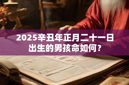 2025辛丑年正月二十一日出生的男孩命如何？