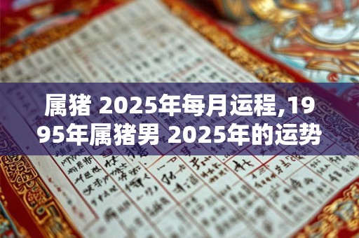 属猪 2026年每月运程,1995年属猪男 2026年的运势怎么样