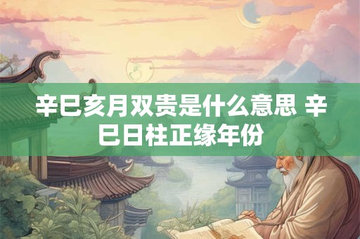 辛巳亥月双贵是什么意思 辛巳日柱正缘年份