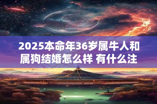 2025本命年36岁属牛人和属狗结婚怎么样 有什么注意事项