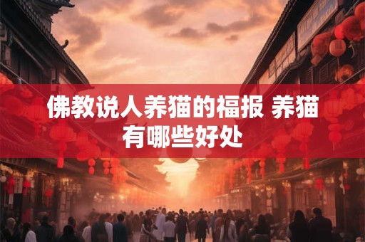 佛教说人养猫的福报 养猫有哪些好处