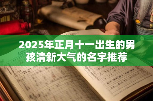2025年正月十一出生的男孩清新大气的名字推荐 2025年正月十一出生的男孩清新大气的名字推荐