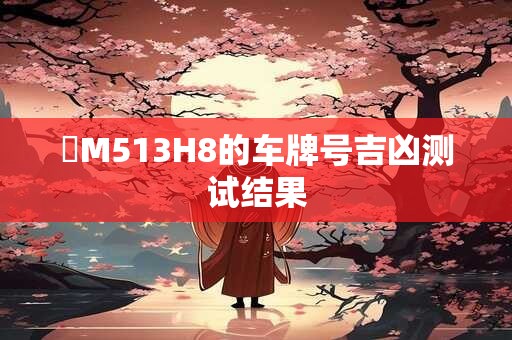 粵M513H8的车牌号吉凶测试结果