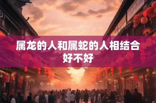 属龙的人和属蛇的人相结合好不好