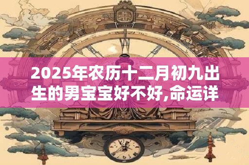 2025年农历十二月初九出生的男宝宝好不好,命运详解