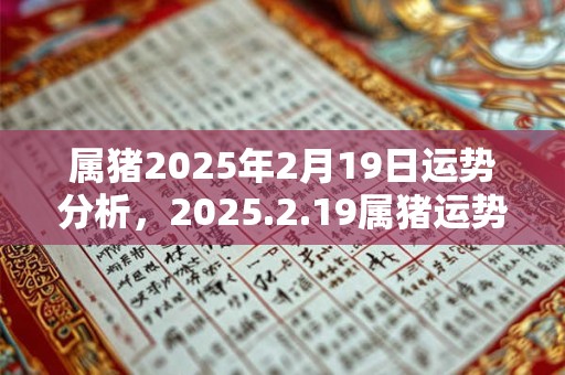 属猪2026年2月19日运势分析，2026.2.19属猪运势分析