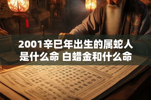 2001辛巳年出生的属蛇人是什么命 白蜡金和什么命最配