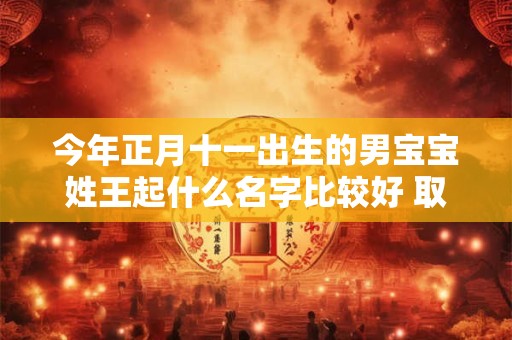 今年正月十一出生的男宝宝姓王起什么名字比较好 取什么名字最好