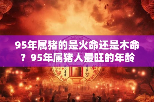 详细阅读:95年属猪的是火命还是木命?95年属猪人最旺的年龄 95年属猪的是火命还是木命?95年属猪人最旺的年龄
