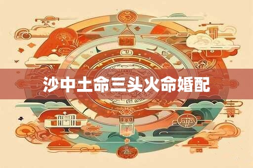 沙中土命三头火命婚配