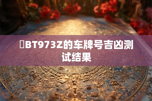 粵BT973Z的车牌号吉凶测试结果