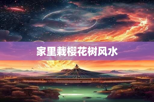 家里栽樱花树风水