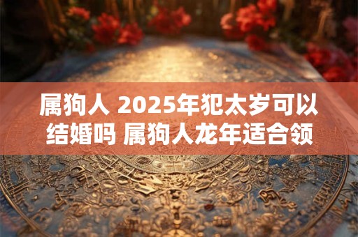 属狗人 2025年犯太岁可以结婚吗 属狗人龙年适合领证吗