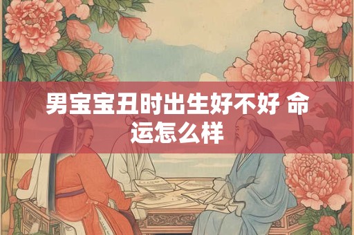 男宝宝丑时出生好不好 命运怎么样