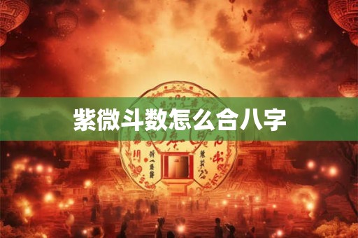 紫微斗数怎么合八字