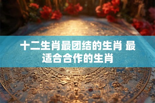 十二生肖最团结的生肖 最适合合作的生肖