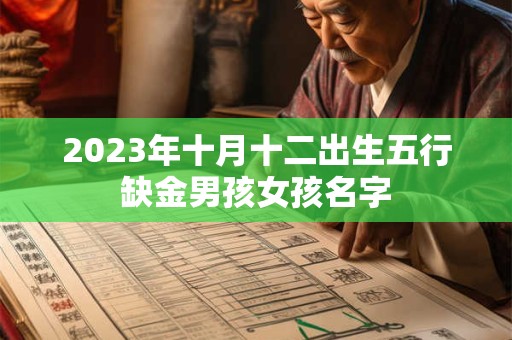 2023年十月十二出生五行缺金男孩女孩名字