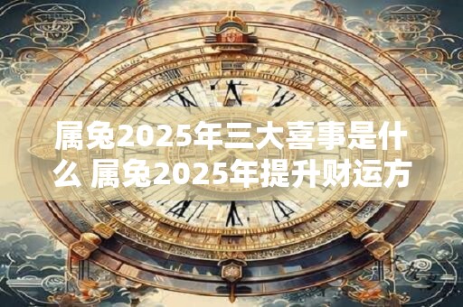 属兔2025年三大喜事是什么 属兔2025年提升财运方法
