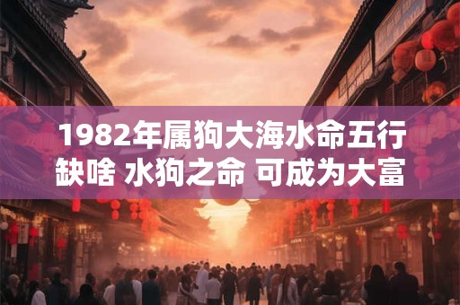 1982年属狗大海水命五行缺啥 水狗之命 可成为大富之人