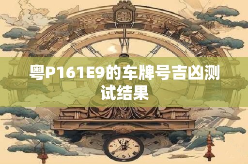 粤P161E9的车牌号吉凶测试结果