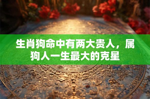 生肖狗命中有两大贵人，属狗人一生最大的克星