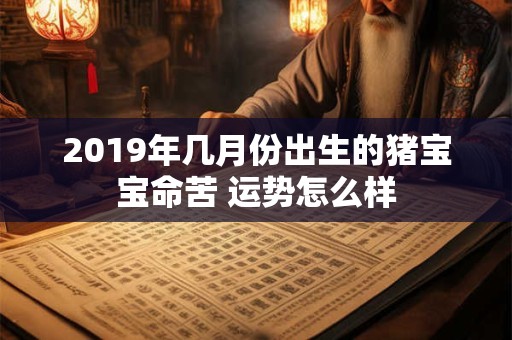 2019年几月份出生的猪宝宝命苦 运势怎么样