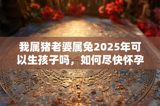 我属猪老婆属兔2025年可以生孩子吗，如何尽快怀孕？