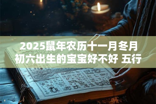 2025鼠年农历十一月冬月初六出生的宝宝好不好 五行缺什么