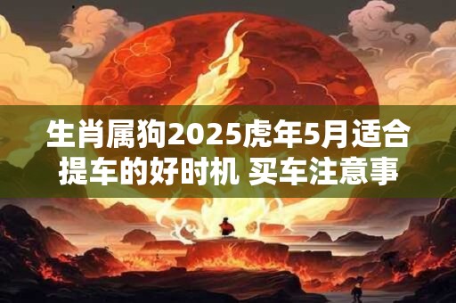 生肖属狗2025虎年5月适合提车的好时机 买车注意事项