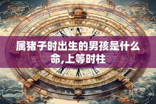 属猪子时出生的男孩是什么命,上等时柱