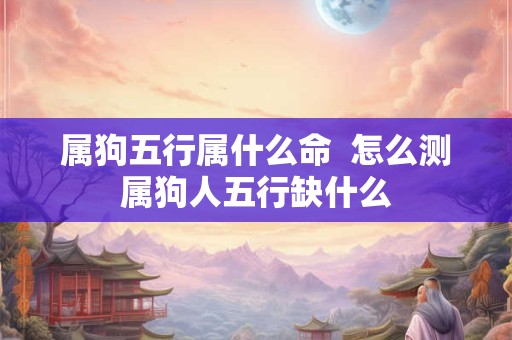 属狗五行属什么命  怎么测属狗人五行缺什么