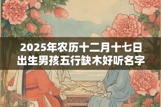 2025年农历十二月十七日出生男孩五行缺木好听名字推荐 2025年农历十二月十七日出生男孩五行缺木好听名字推荐