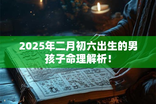 2025年二月初六出生的男孩子命理解析！